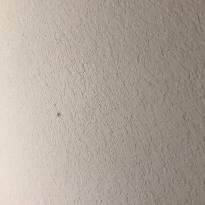 Meet your Posher, Lynn